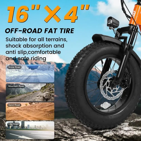 Brisa V101 Ebike