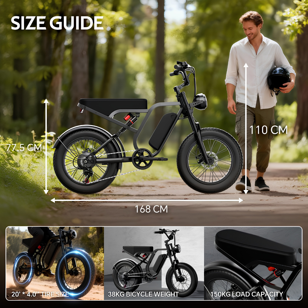 Brisa All-Terrain 1500W Peak Motor Electric Bike