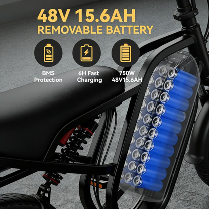 Brisa All-Terrain 1500W Peak Motor Electric Bike