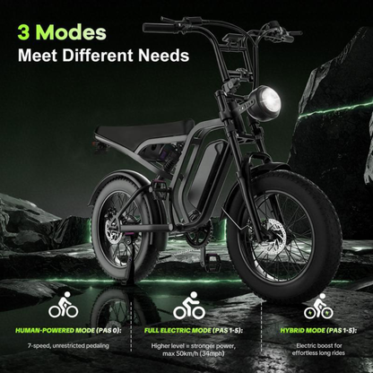 Brisa All-Terrain 1500W Peak Motor Electric Bike