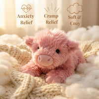 Pink Highland Cow
