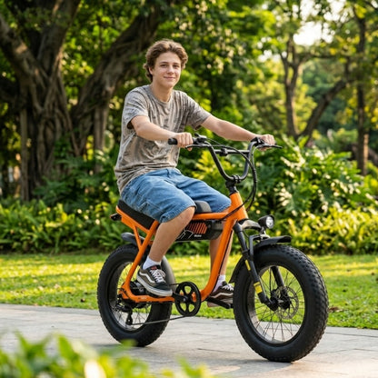 Brisa V101 Ebike