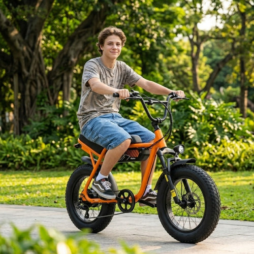 Brisa V101 Ebike
