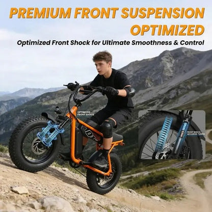 Brisa V101 Ebike