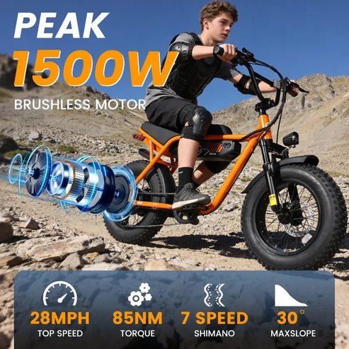Brisa V101 Ebike