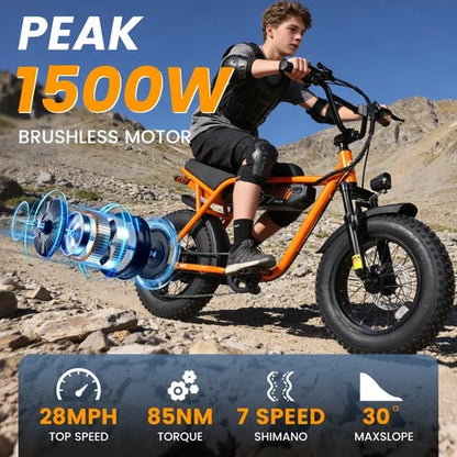 Brisa V101 Ebike
