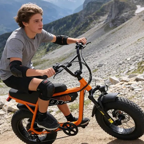 Brisa V101 Ebike
