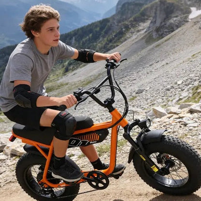 Brisa V101 Ebike