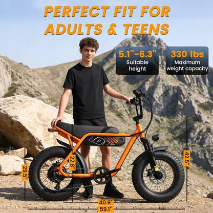 Brisa V101 Ebike