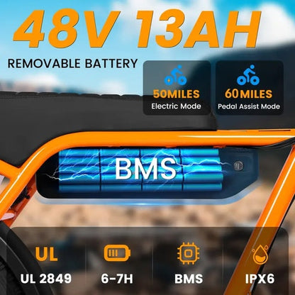 Brisa V101 Ebike