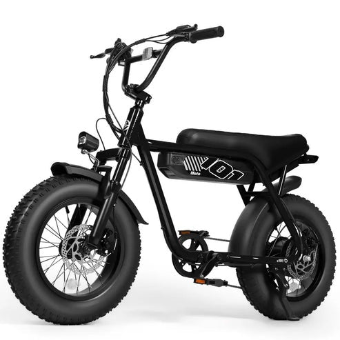 Brisa V101 Ebike