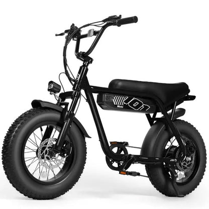 Brisa V101 Ebike