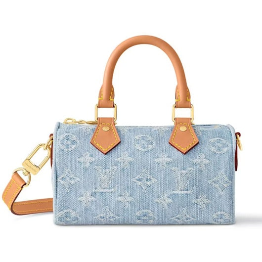 LV Nano Speedy Bag