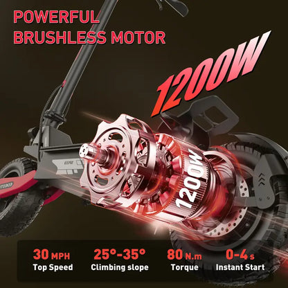 Brisa All Terrain Electric Scooter 1200W