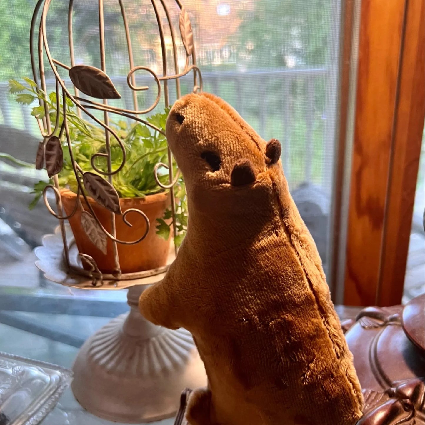 Capybara Plush - Fluffy Plushie