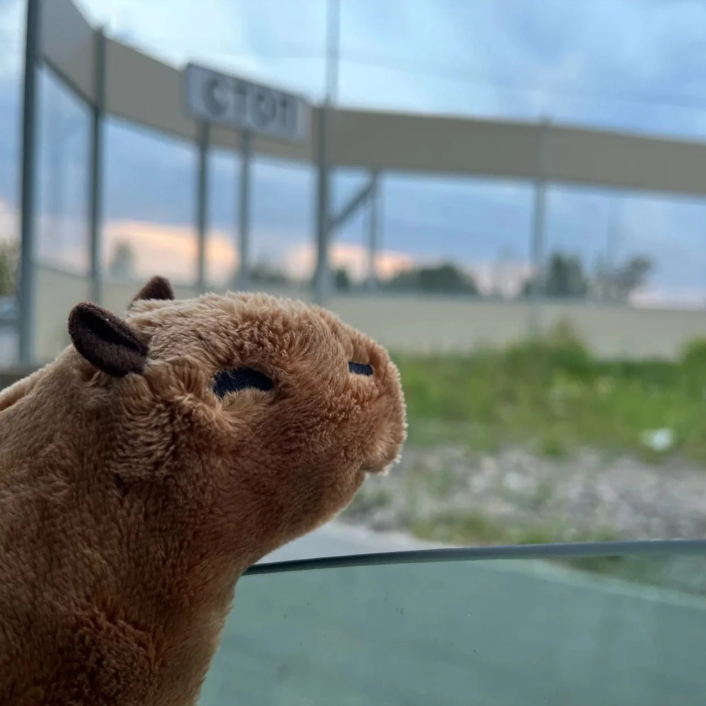 Capybara Plush - Fluffy Plushie